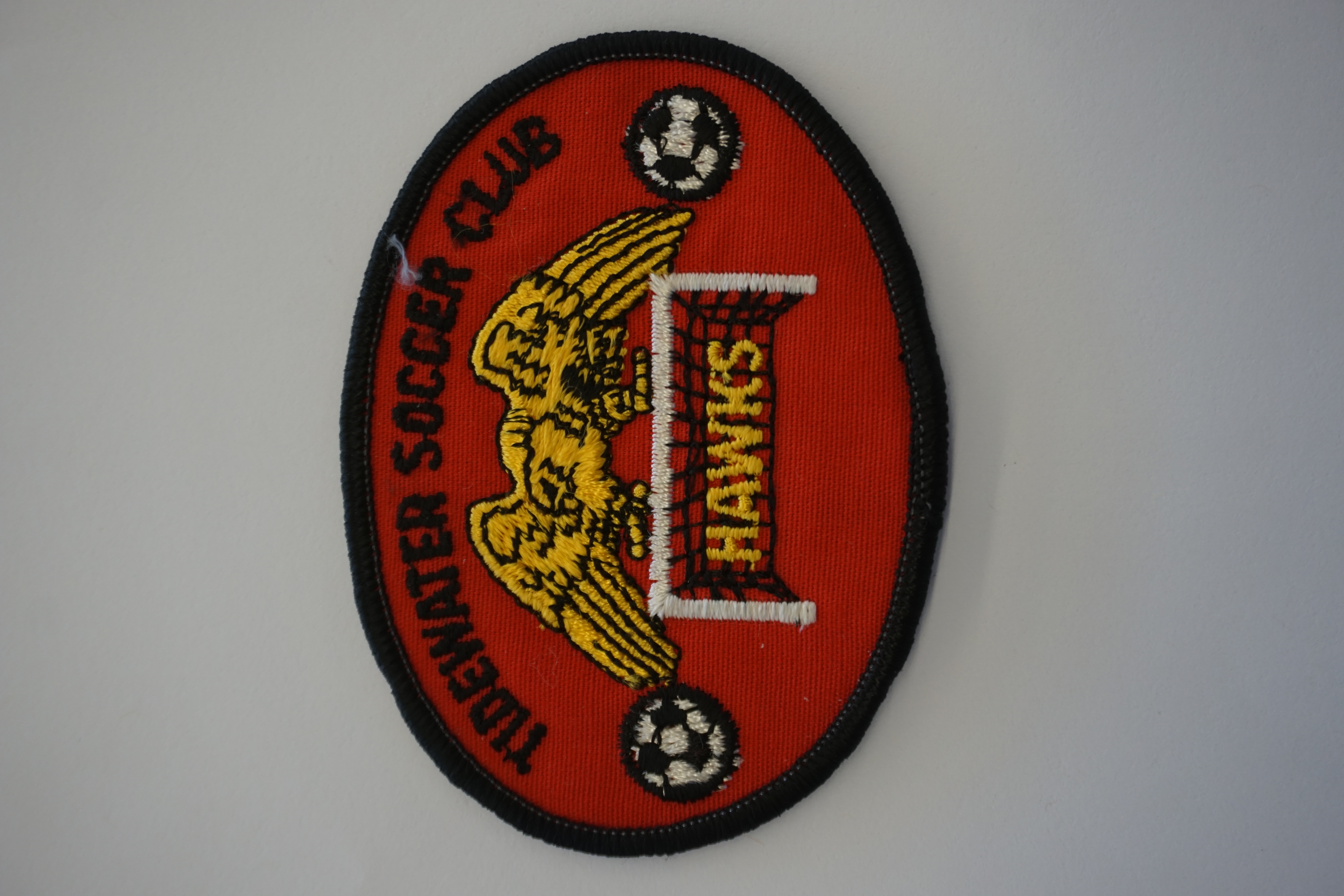 (image for) Tidewater Soccer Club Hawks Patch 3.5" x 2.5" (10491)